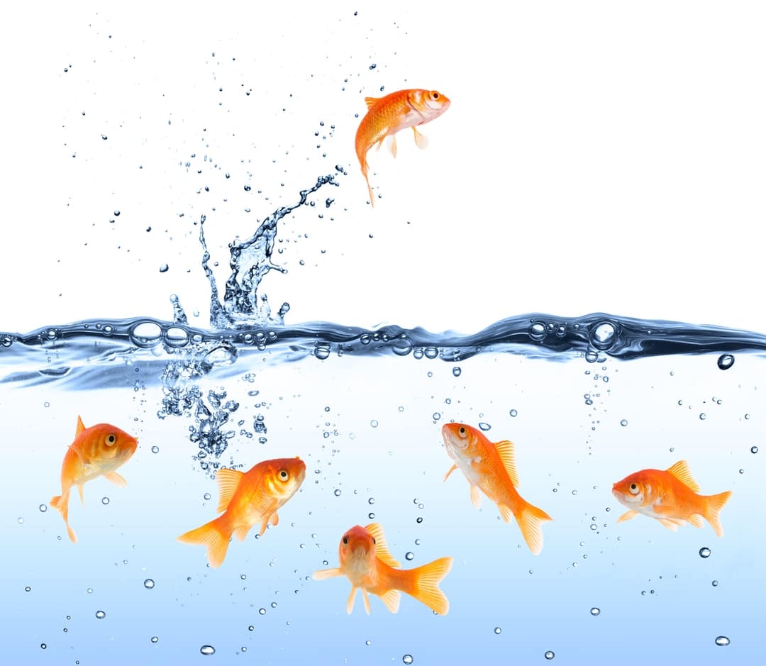 How to hunt for "Unicorns"